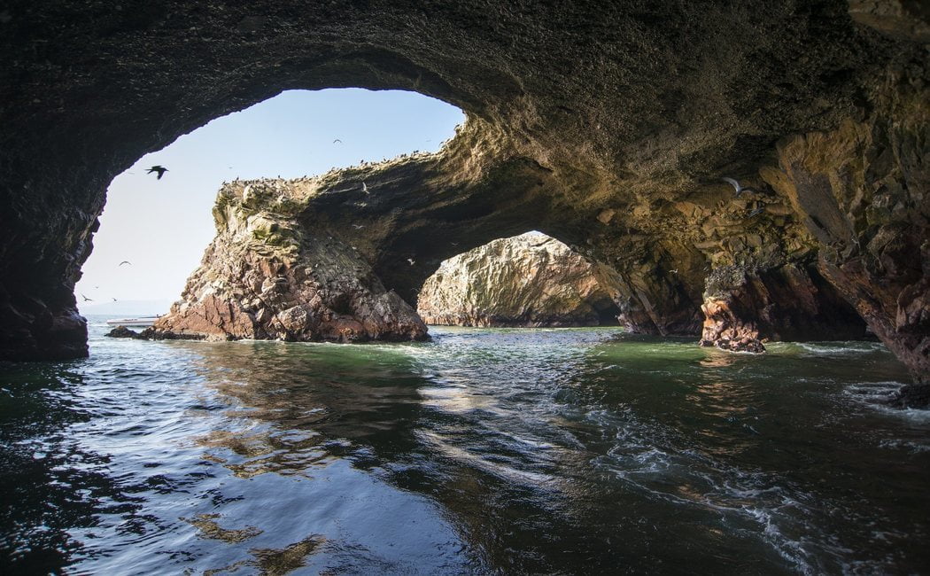 Descubre la belleza natural de las Islas Ballestas en Perú