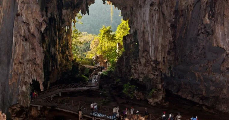 Descubre la belleza natural del Parque Nacional Tingo María en Perú